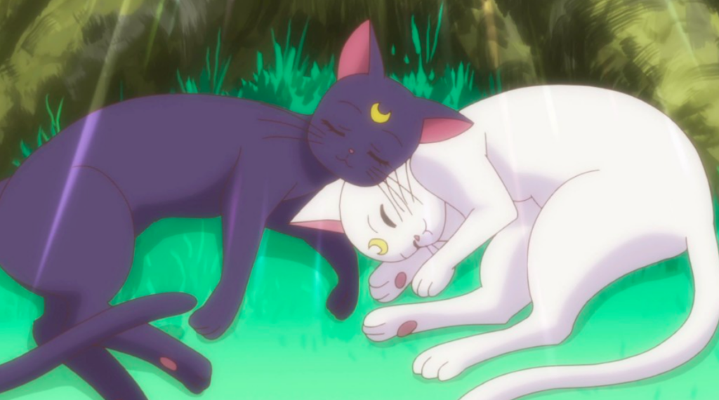 Artemis et Luna sont les chats compagnons emblématiques des sailors